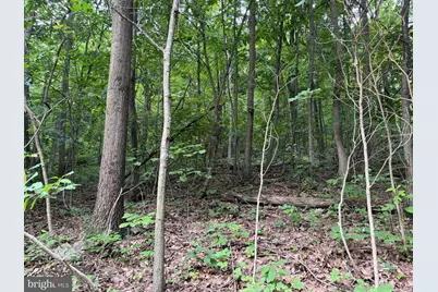 Tract 3: 22.32+/- Acres At 2668 Moss Rd, Warfordsburg, PA 17267 - Photo 19