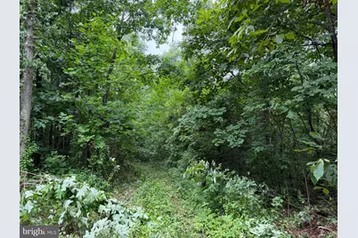 Tract 3: 22.32+/- Acres At 2668 Moss Rd, Warfordsburg, PA 17267 - Photo 9