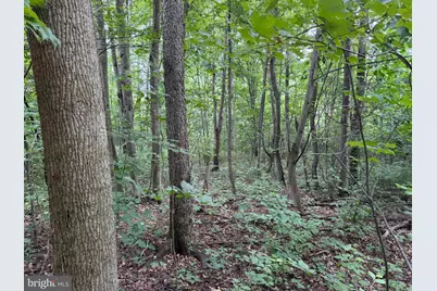 Tract 3: 22.32+/- Acres At 2668 Moss Rd, Warfordsburg, PA 17267 - Photo 3
