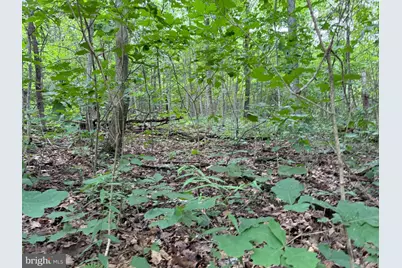 Tract 3: 22.32+/- Acres At 2668 Moss Rd, Warfordsburg, PA 17267 - Photo 11