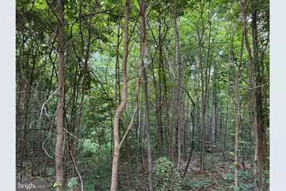Tract 3: 22.32+/- Acres At 2668 Moss Rd, Warfordsburg, PA 17267 - Photo 7