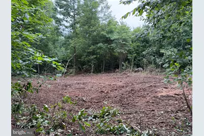 Tract 3: 22.32+/- Acres At 2668 Moss Rd, Warfordsburg, PA 17267 - Photo 15