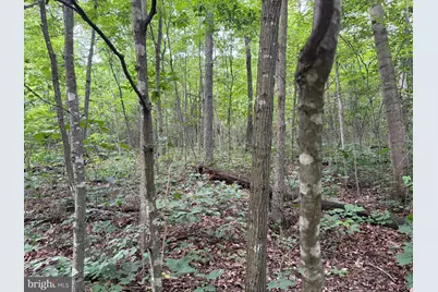 Tract 3: 22.32+/- Acres At 2668 Moss Rd, Warfordsburg, PA 17267 - Photo 17