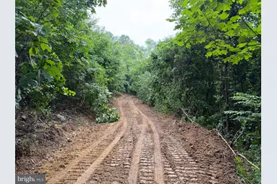 Tract 3: 22.32+/- Acres At 2668 Moss Rd, Warfordsburg, PA 17267 - Photo 5