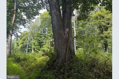 107+/- Acres Schenck Rd, Wells Tannery, PA 16691 - Photo 25