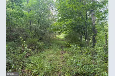 107+/- Acres Schenck Rd, Wells Tannery, PA 16691 - Photo 55