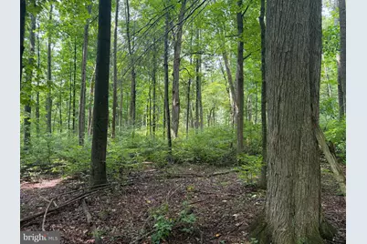 107+/- Acres Schenck Rd, Wells Tannery, PA 16691 - Photo 21