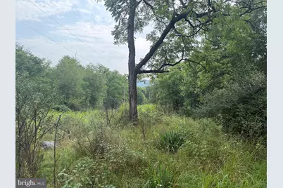 107+/- Acres Schenck Rd, Wells Tannery, PA 16691 - Photo 63