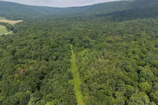 107+/- Acres Schenck Rd, Wells Tannery, PA 16691 - Photo 1