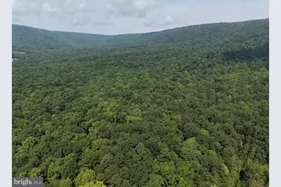 107+/- Acres Schenck Rd, Wells Tannery, PA 16691 - Photo 11