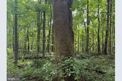 107+/- Acres Schenck Rd, Wells Tannery, PA 16691 - Photo 37