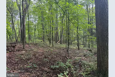 107+/- Acres Schenck Rd, Wells Tannery, PA 16691 - Photo 47