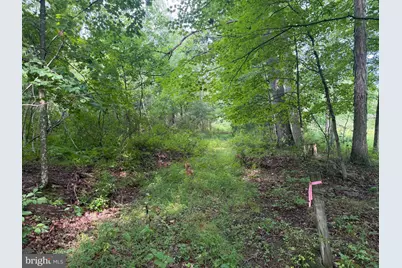 107+/- Acres Schenck Rd, Wells Tannery, PA 16691 - Photo 53