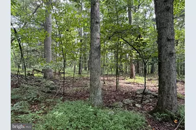 107+/- Acres Schenck Rd, Wells Tannery, PA 16691 - Photo 41