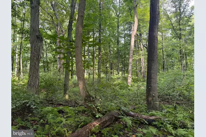 107+/- Acres Schenck Rd, Wells Tannery, PA 16691 - Photo 29