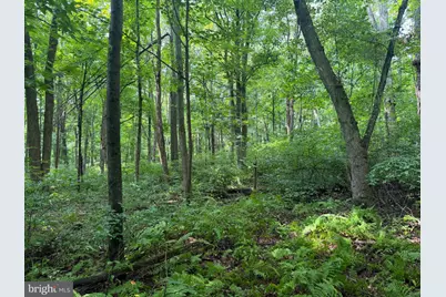 107+/- Acres Schenck Rd, Wells Tannery, PA 16691 - Photo 27