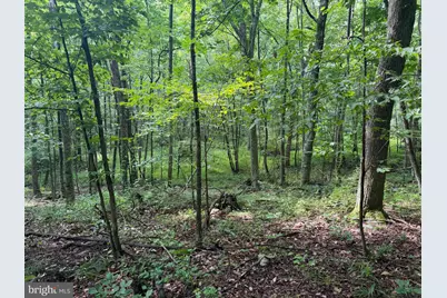 107+/- Acres Schenck Rd, Wells Tannery, PA 16691 - Photo 49