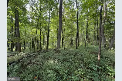 107+/- Acres Schenck Rd, Wells Tannery, PA 16691 - Photo 39