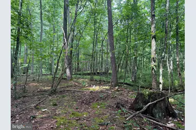 107+/- Acres Schenck Rd, Wells Tannery, PA 16691 - Photo 51