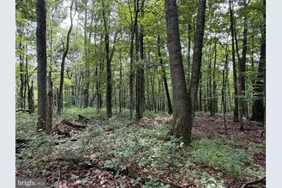 107+/- Acres Schenck Rd, Wells Tannery, PA 16691 - Photo 45