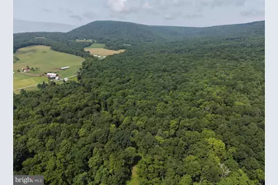 107+/- Acres Schenck Rd, Wells Tannery, PA 16691 - Photo 9