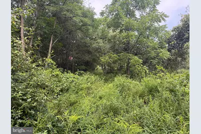 107+/- Acres Schenck Rd, Wells Tannery, PA 16691 - Photo 57