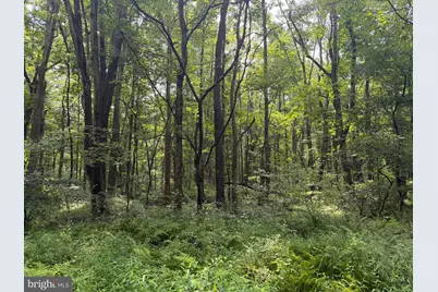 107+/- Acres Schenck Rd, Wells Tannery, PA 16691 - Photo 33