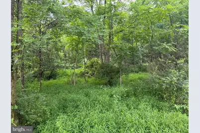 107+/- Acres Schenck Rd, Wells Tannery, PA 16691 - Photo 65