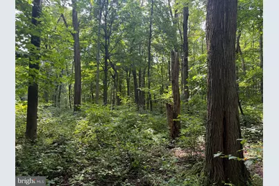 107+/- Acres Schenck Rd, Wells Tannery, PA 16691 - Photo 23