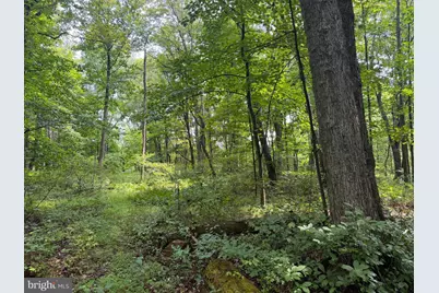 107+/- Acres Schenck Rd, Wells Tannery, PA 16691 - Photo 35