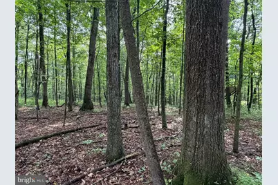 107+/- Acres Schenck Rd, Wells Tannery, PA 16691 - Photo 43