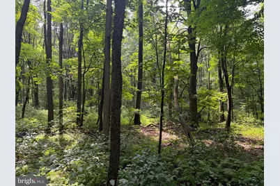 107+/- Acres Schenck Rd, Wells Tannery, PA 16691 - Photo 31
