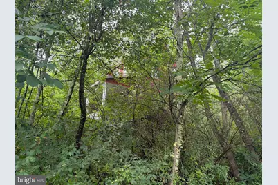 107+/- Acres Schenck Rd, Wells Tannery, PA 16691 - Photo 61