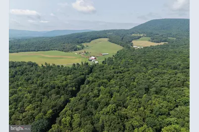 107+/- Acres Schenck Rd, Wells Tannery, PA 16691 - Photo 15