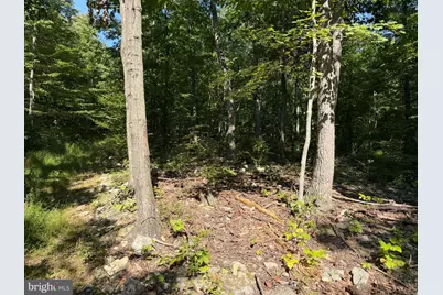 Tract 1: 151.43+/- Acres Mountain Road, Needmore, PA 17238 - Photo 75