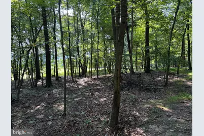 Tract 1: 151.43+/- Acres Mountain Road, Needmore, PA 17238 - Photo 53