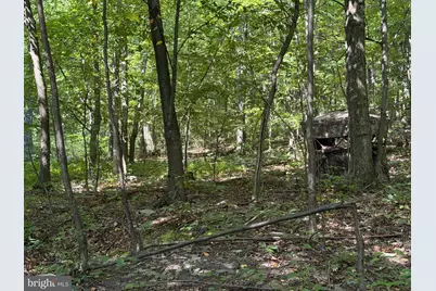 Tract 1: 151.43+/- Acres Mountain Road, Needmore, PA 17238 - Photo 79