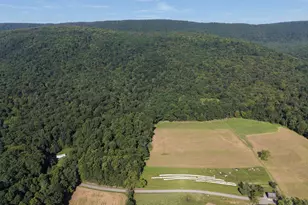 Tract 1: 151 43+/- Acres Mountain Rd, Needmore, PA 17238 - Photo 1