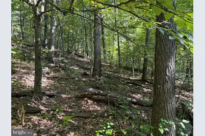 Tract 1: 151.43+/- Acres Mountain Road, Needmore, PA 17238 - Photo 87