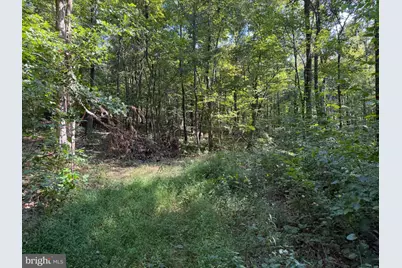 Tract 1: 151.43+/- Acres Mountain Road, Needmore, PA 17238 - Photo 67