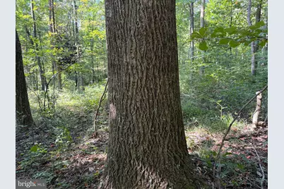 Tract 1: 151.43+/- Acres Mountain Road, Needmore, PA 17238 - Photo 65