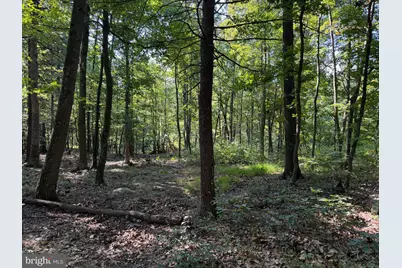 Tract 1: 151.43+/- Acres Mountain Road, Needmore, PA 17238 - Photo 63