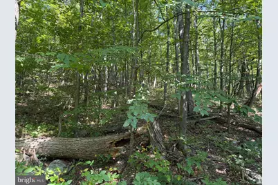Tract 1: 151.43+/- Acres Mountain Road, Needmore, PA 17238 - Photo 83