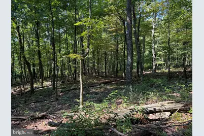 Tract 1: 151.43+/- Acres Mountain Road, Needmore, PA 17238 - Photo 59