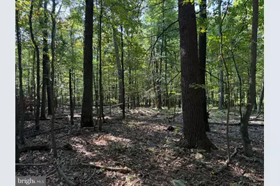 Tract 1: 151.43+/- Acres Mountain Road, Needmore, PA 17238 - Photo 57
