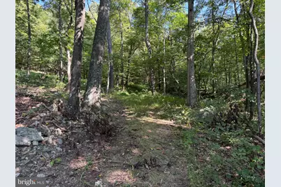 Tract 1: 151.43+/- Acres Mountain Road, Needmore, PA 17238 - Photo 77