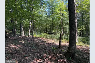 Tract 2: 21.62+/- Acres Mountain Road, Needmore, PA 17238 - Photo 33