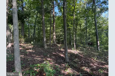 Tract 2: 21.62+/- Acres Mountain Road, Needmore, PA 17238 - Photo 27