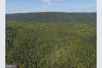 259.2+/- Acres At 4326 Mountain Road, Needmore, PA 17238 - Photo 69