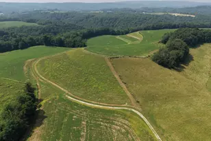 131 5+/- Acres At 361 Caney Valley Rd, Markleysburg, PA 15459 - Photo 19